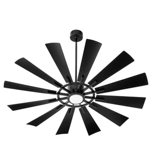 Cirque