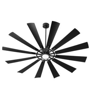 Cirque