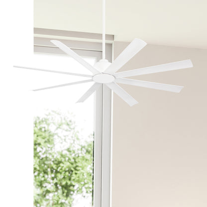 Condor 65 White