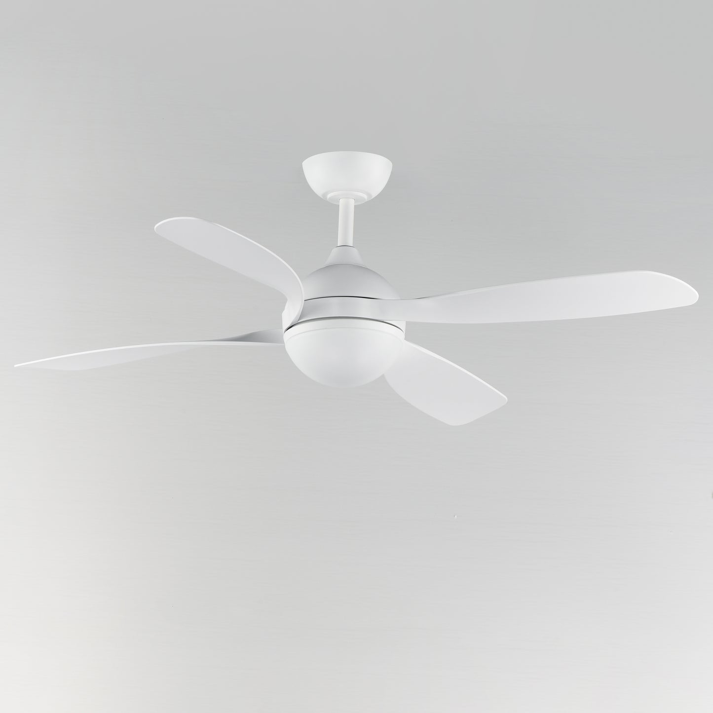Bola 52 White