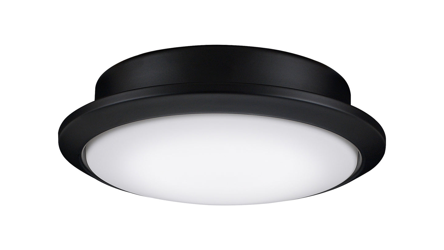 Fanimation Wrap Light Kit Black Light Kit