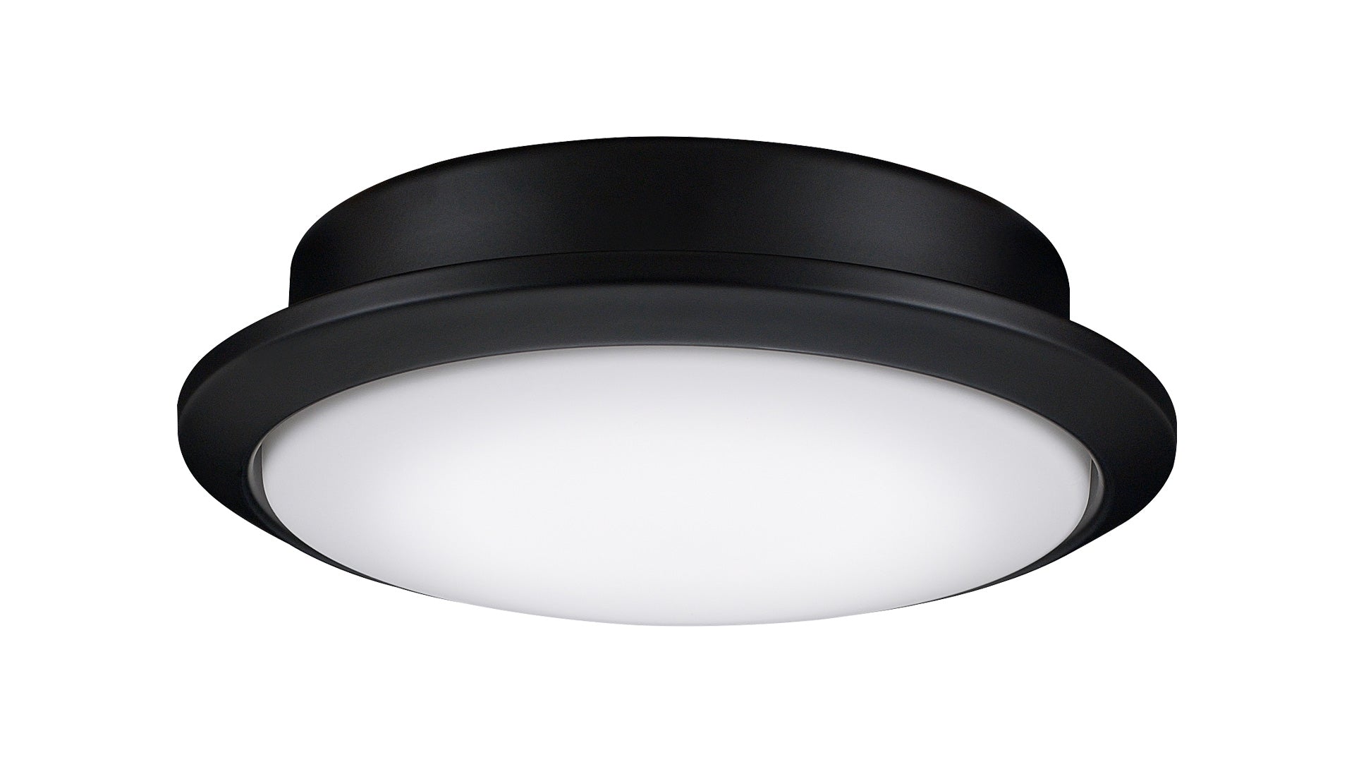 Fanimation Wrap Light Kit Black Light Kit