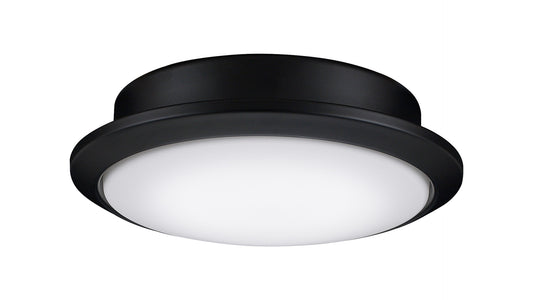 Fanimation Wrap Light Kit Black Light Kit