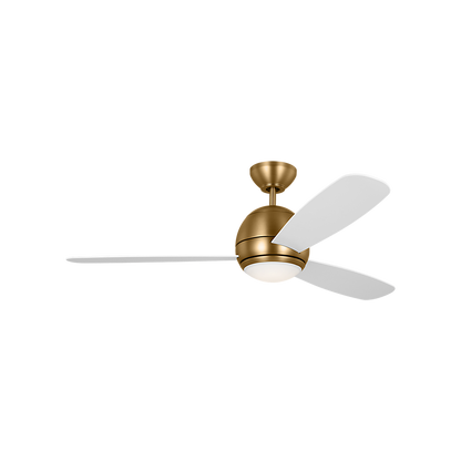 Orbis