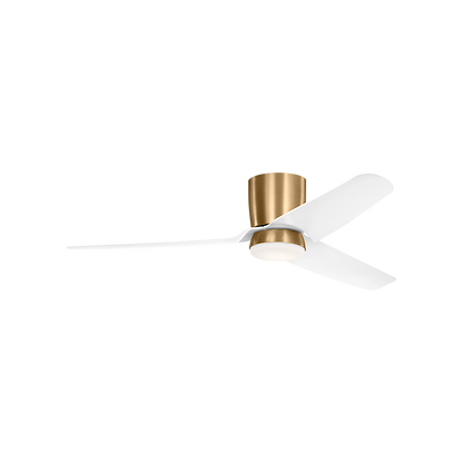 Colgin