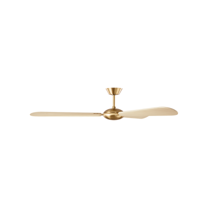 Pod