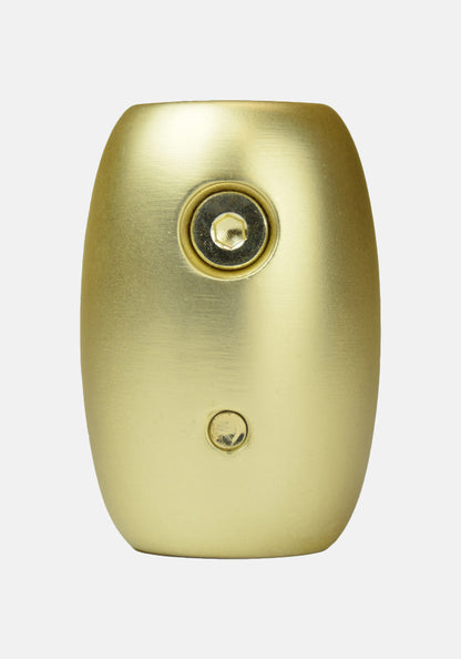 Fanimation Coupler Chrome